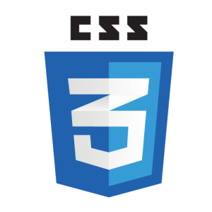 CSS Version 3 Logo